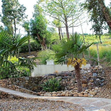Oak Cottage Ferreira do Zêzere المظهر الخارجي الصورة